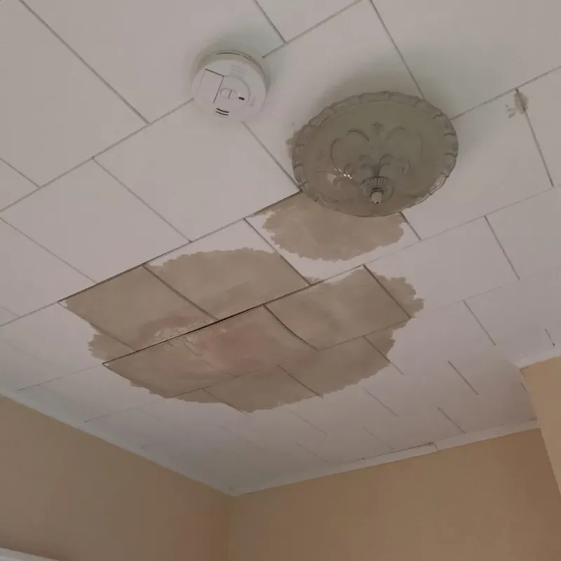 Ceiling Water Damage Repair in Decatur, TX