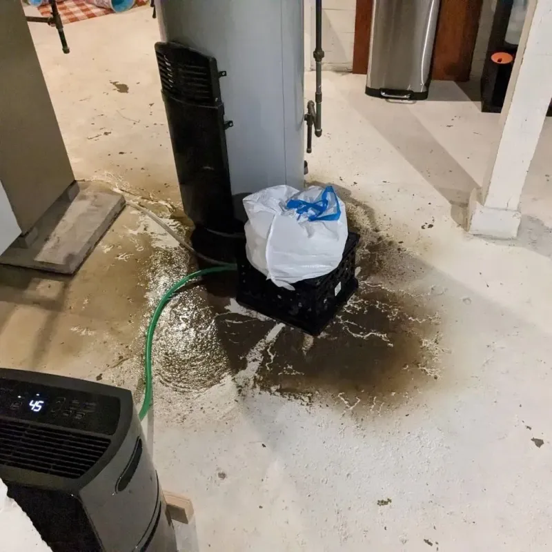 Sewage Backup Cleanup Service in Decatur, TX